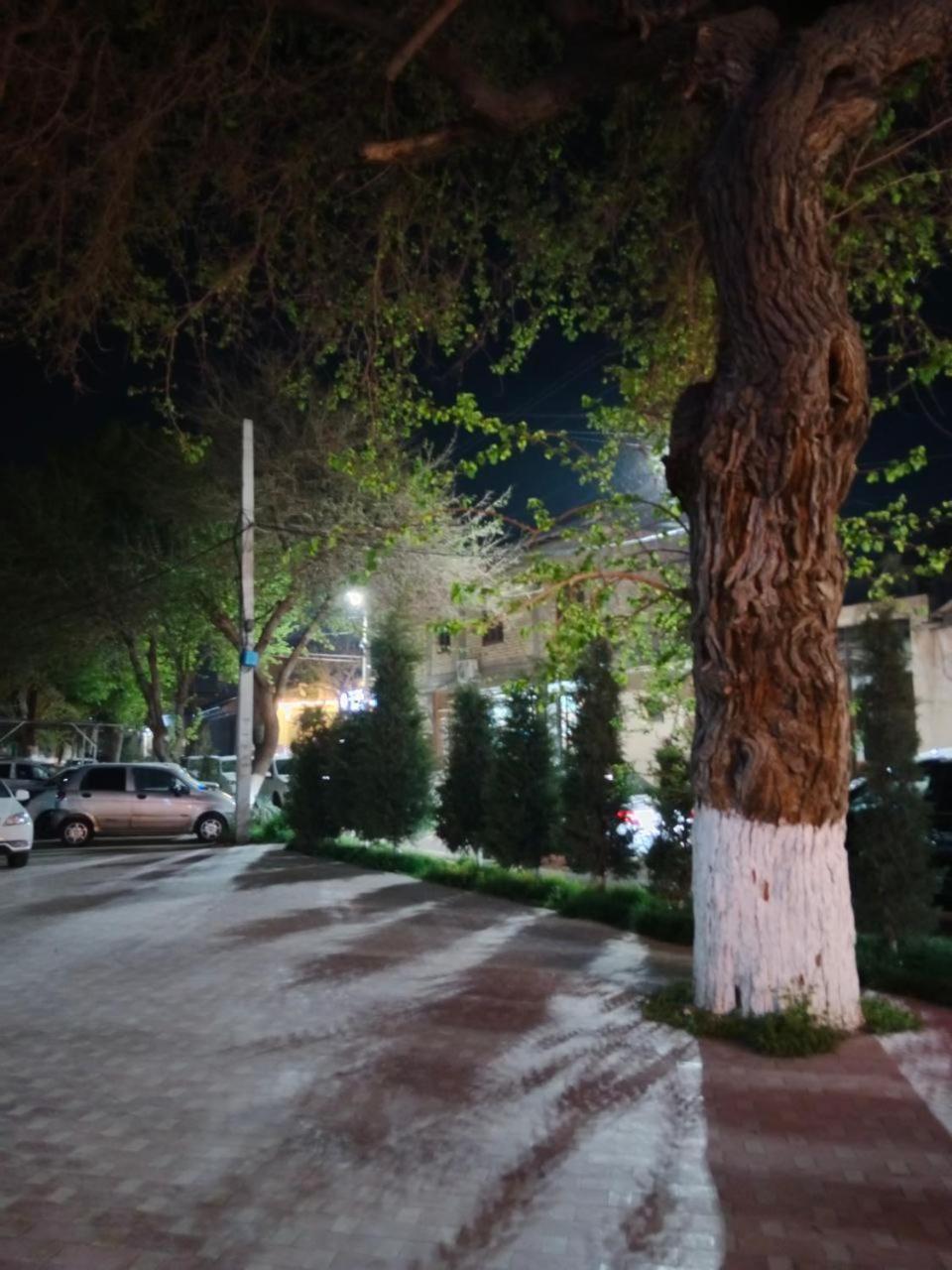 Gulsara Hostel Samarkand Bagian luar foto